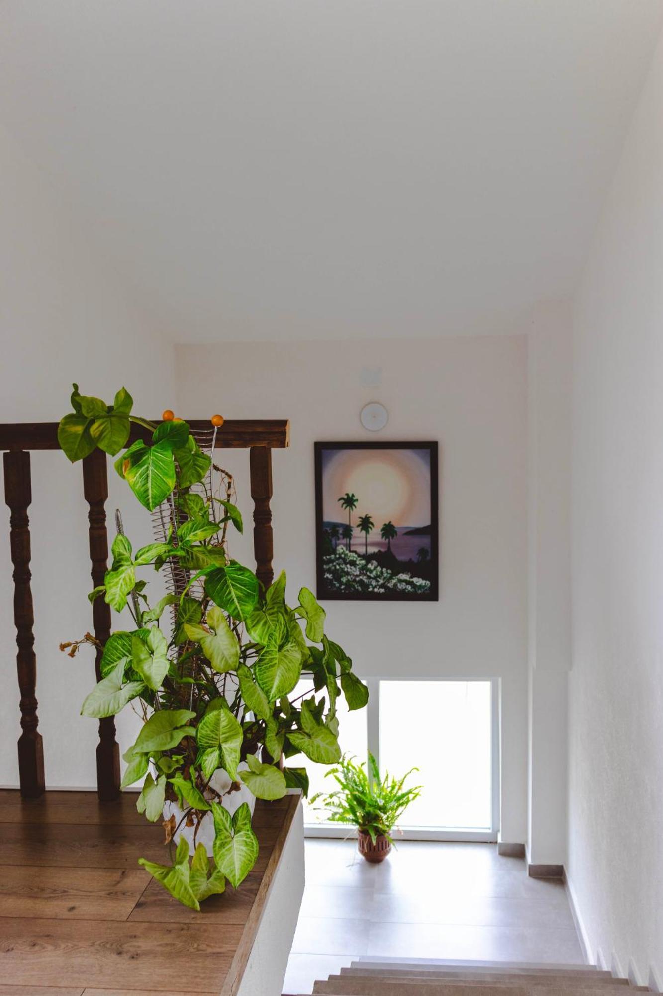 Demetra Apartments Ohri Dış mekan fotoğraf